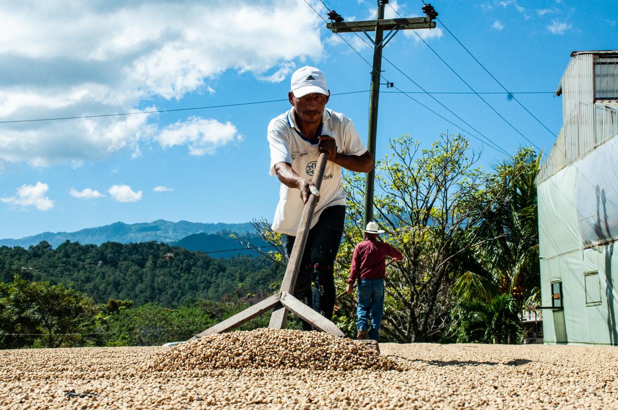 WET COFFEE BENEFIT IN PATIO  