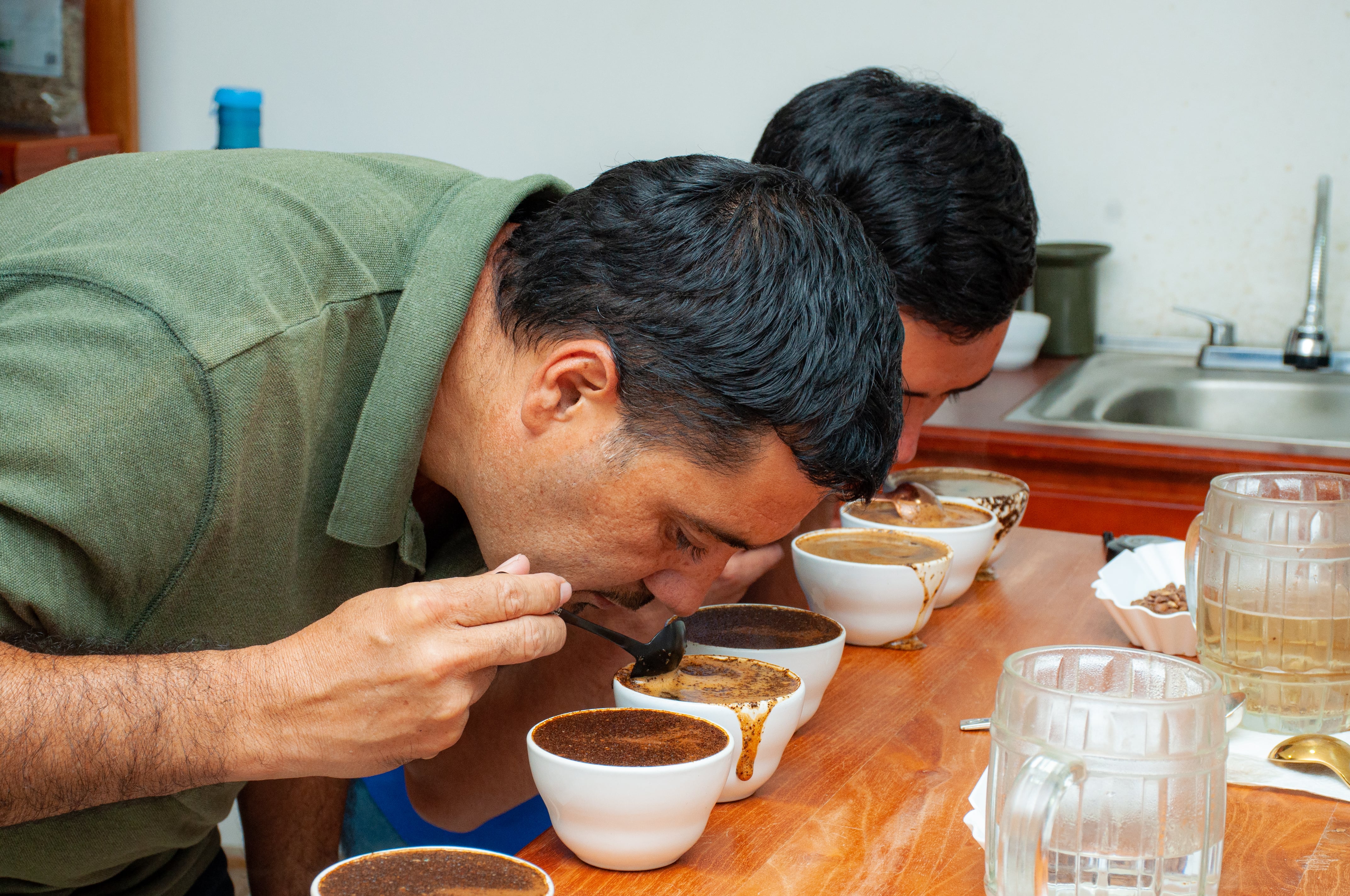 Cupping laboratory