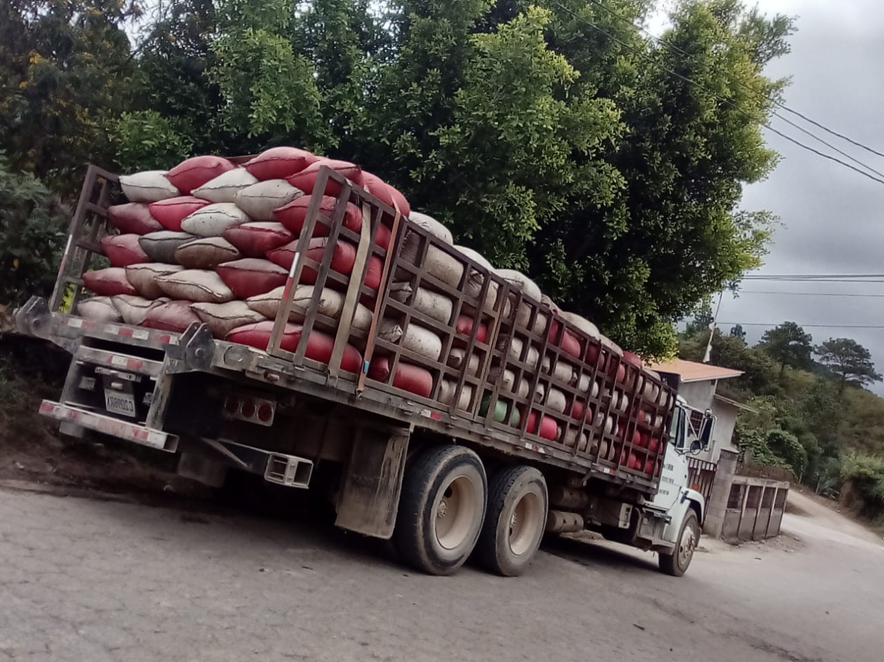  WE TRANSPORT YOUR COFFEE 