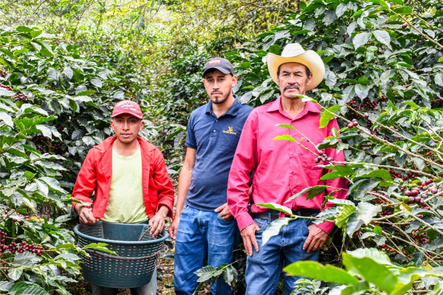 Imagen de la finca Loma Escondida