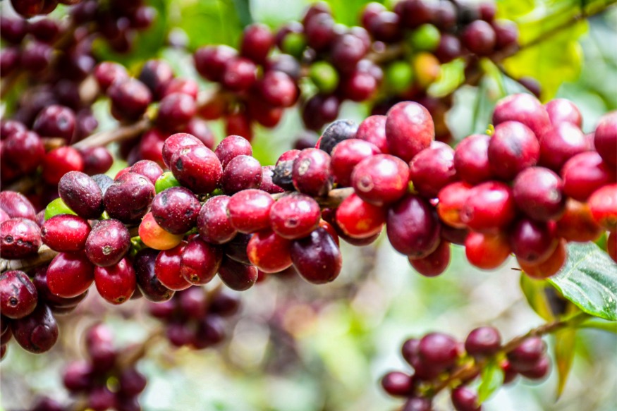  Loma Escondida gallery 